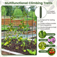 Self-watering Raised Garden Bed Elevated Planter w/Climbing Trellis Herbs Fruits