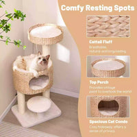 Modern Cat Tree for Indoor Cats w/Sisal Scratching Posts, Removable Cushion