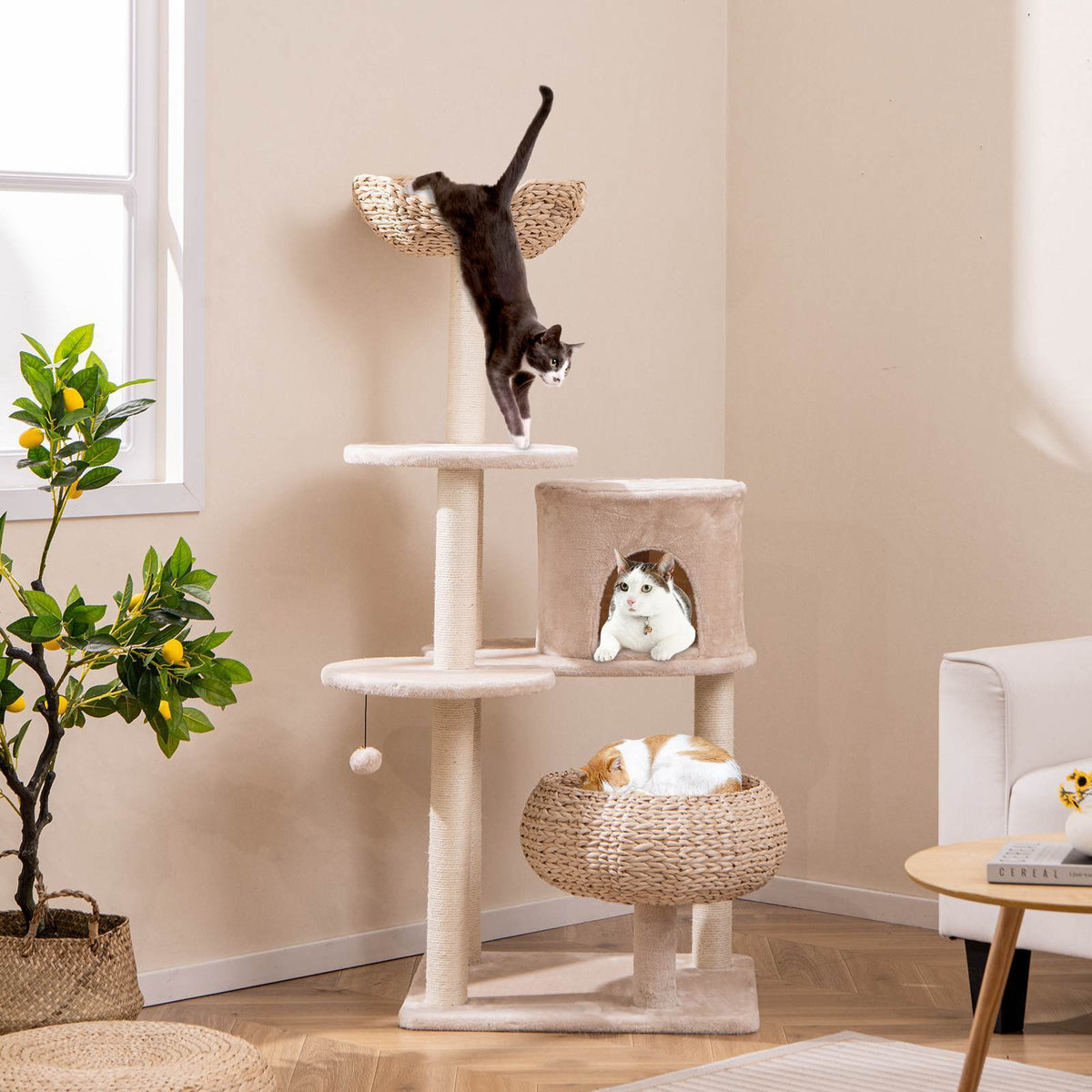 Cattail Cat Tower w/ Sisal Scratching Posts, Dangling Ball, Washable Cushions