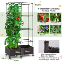 1.7M Indoor Outdoor Adjustable Raised Garden Bed on Wheels, Self-Watering System