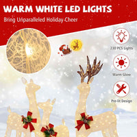 Lighted All-weather Christmas Reindeer Family Decoration Set of 3 with 12 Stakes