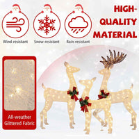 Lighted All-weather Christmas Reindeer Family Decoration Set of 3 with 12 Stakes