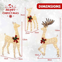 Lighted All-weather Christmas Reindeer Family Decoration Set of 3 with 12 Stakes