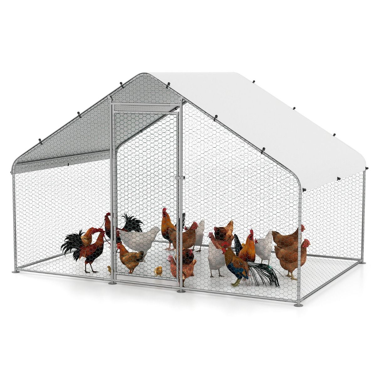 Walk-in Poultry Cage with Oxford Canopy and Hexagonal Mesh Net