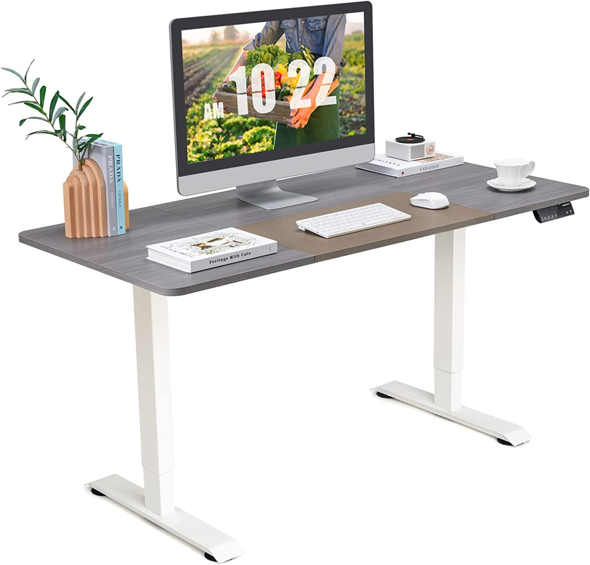 Giantex Electric Height Adjustable Standing Desk, 140cm x 70cm Ergonomic Sit Stand Desk