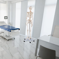 Giantex Life Size 177 cm Human Skeleton Model